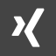  Xing